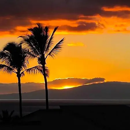 Villa Wailea Ekolu 407